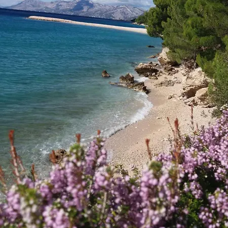 Ivka * Makarska